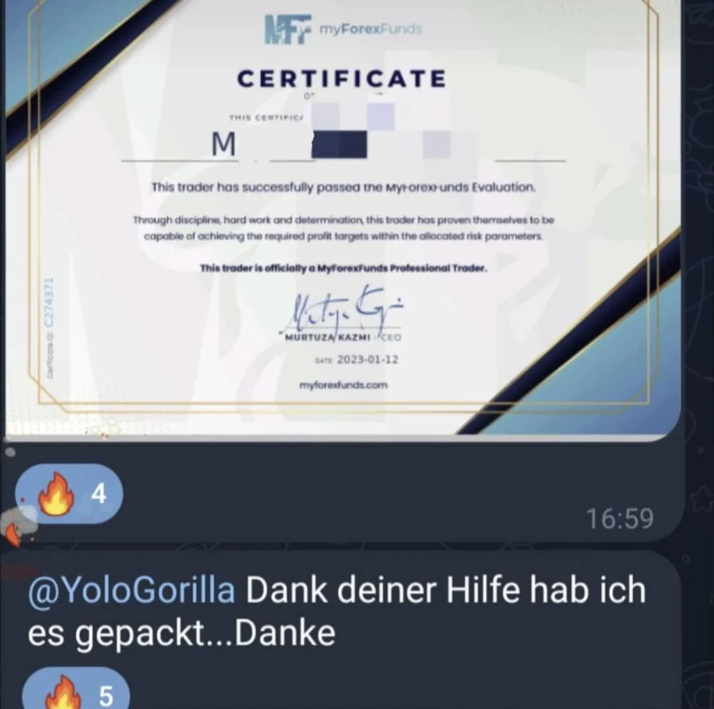 Yorilla Trading Erfahrung Feedback