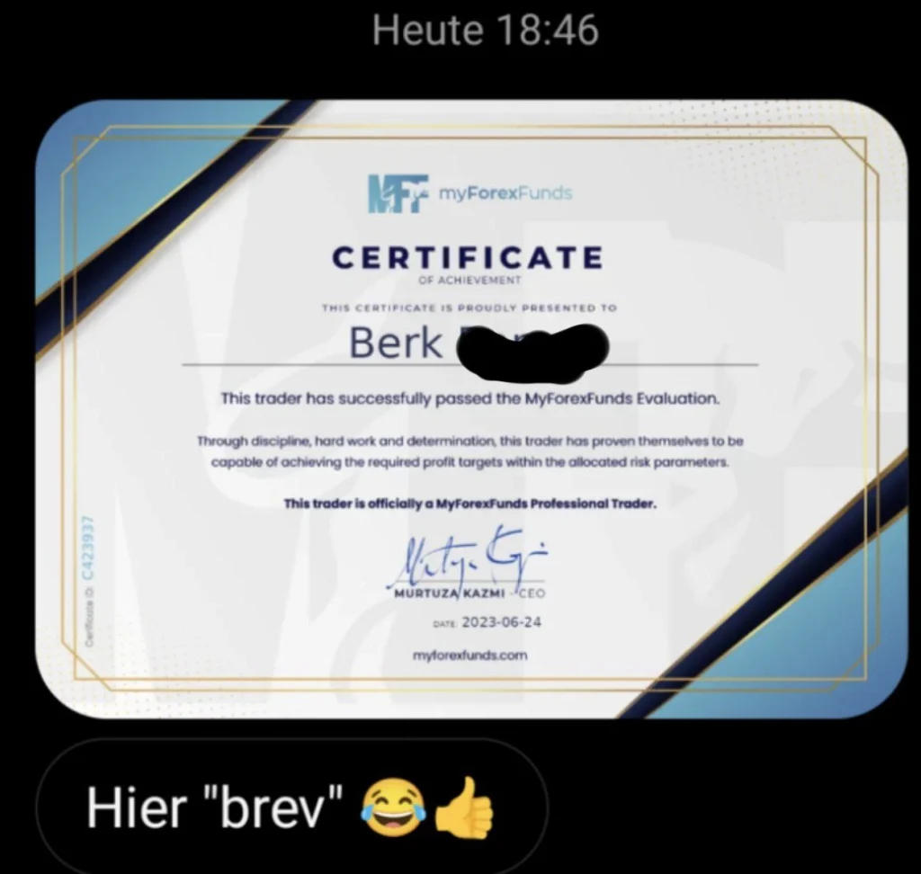 Yorilla Erfahrungsbericht